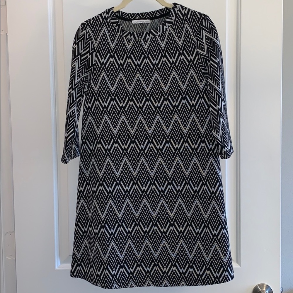NWOT Zara S Mini Dress - Dress Up or Down